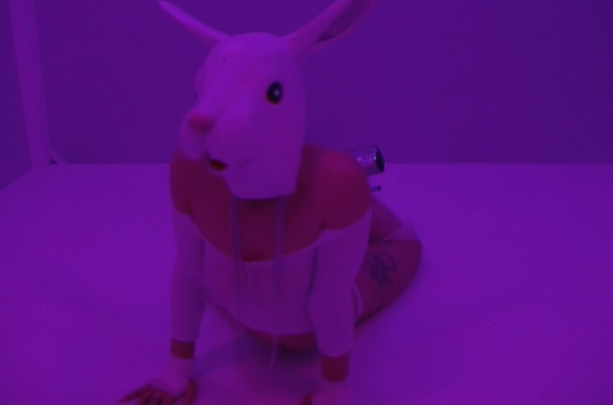Purple-lit performance image showing a figure wearing a white rabbit mask